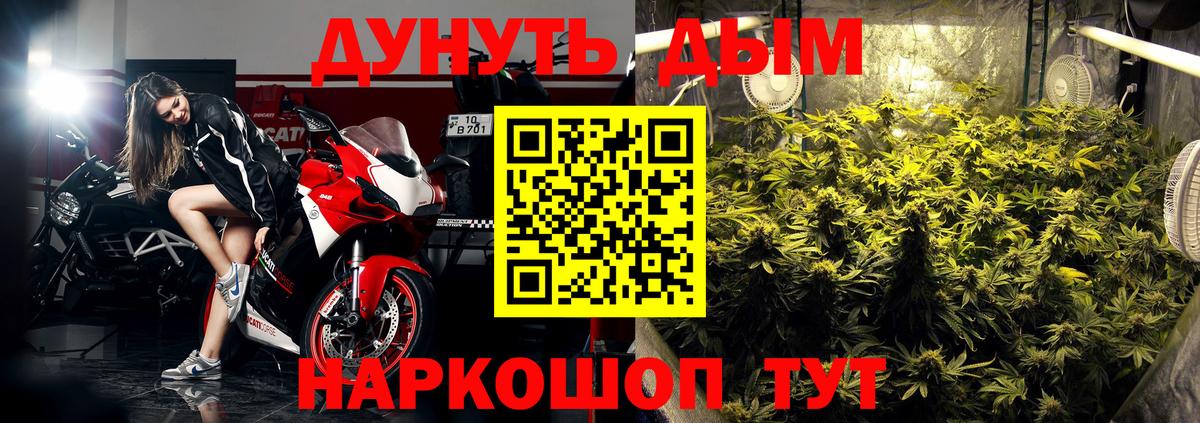 МАРИХУАНА сатива  Конопля гибрид  Джанкой  Вход с VPN  Шишки марихуана MAZAR 